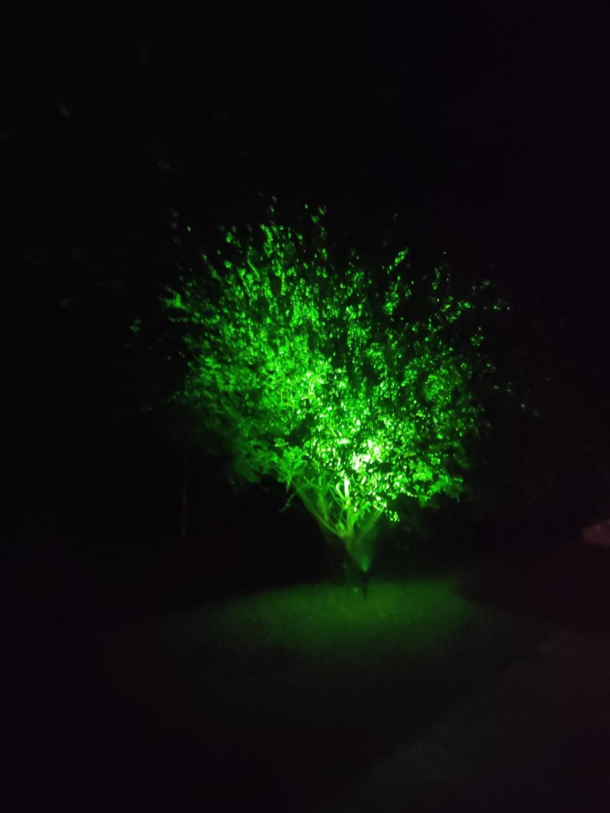 Chacara De Temporada - Mairipora Villa Luaran gambar